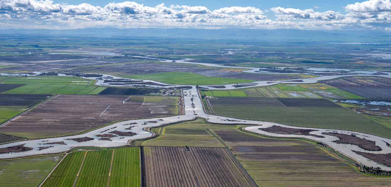 An aerial photo of farmland and waterways in the Sacramento-San Joaquin Delta with rolling hills and sky in the background. An aerial photo of farmland and waterways in the Sacramento-San Joaquin Delta with rolling hills and sky in the background.