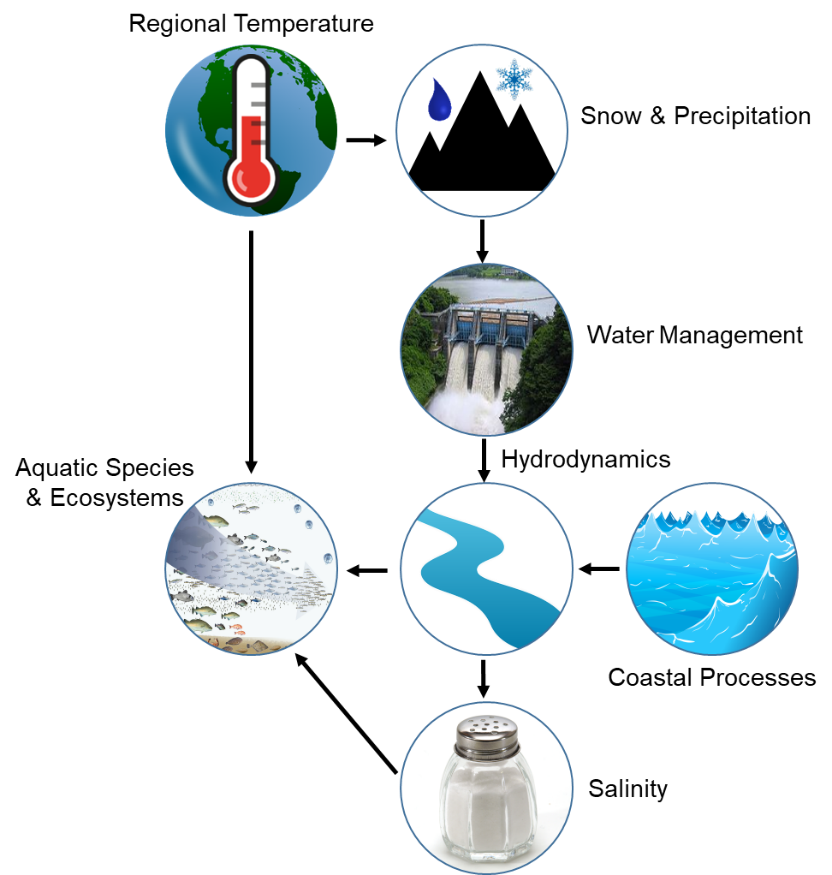 Key environmental drivers in aquatic systems The diagram illustrates the synthesis required to evaluate key environmental drivers in aquatic systems and inform ecosystem-based management.