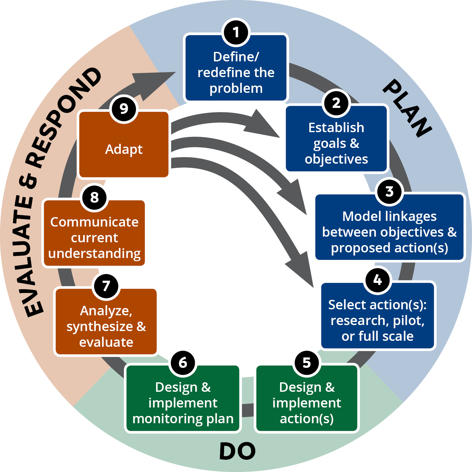 Adaptive Management Wheel A visual detailing the steps to Adaptive Management: Plan, Do, Evaluate, and Respond.