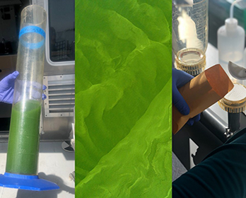 A collage of images showing a water quality sample, harmful algal blooms, and a scientist holding research equipment.