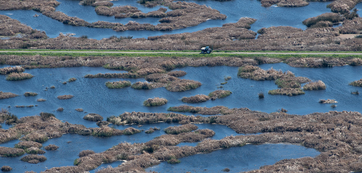 Aerial view of wetlands on Sherman Island, with a tractor parked on a levee, in part of the Sacramento-San Joaquin Delta.