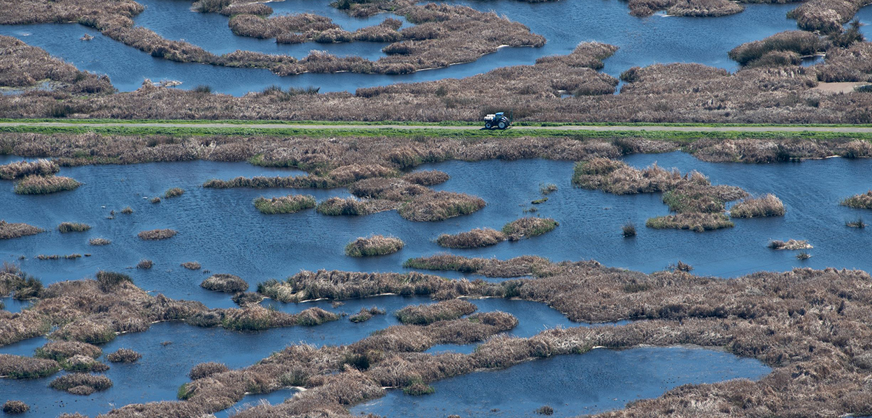 Aerial view of wetlands on Sherman Island, with a tractor parked on a levee, in part of the Sacramento-San Joaquin Delta.