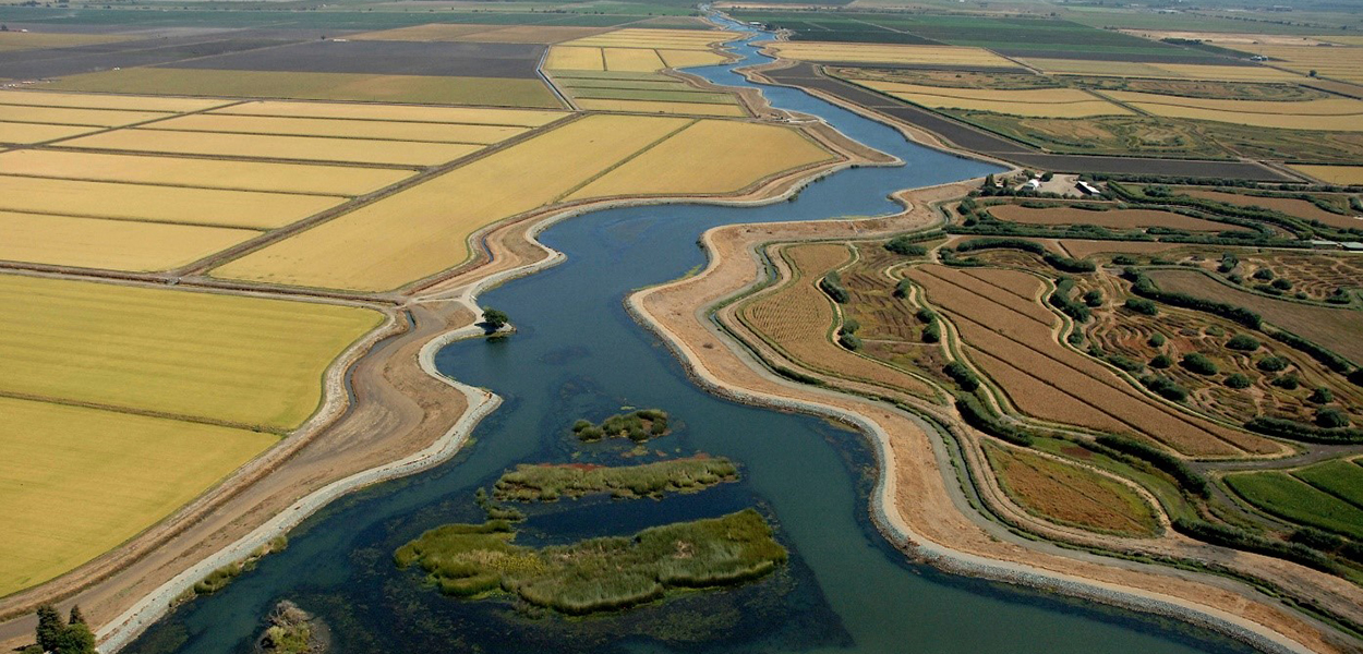 The Delta Stewardship Council’s Delta Plan performance measures online dashboard includes relevant information and data for decision makers in the Delta, its surrounding watershed, and the San Francisco Bay estuary.