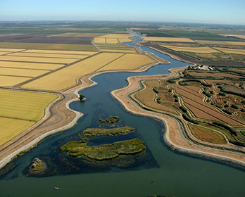 The Delta Stewardship Council’s Delta Plan performance measures online dashboard includes relevant information and data for decision makers in the Delta, its surrounding watershed, and the San Francisco Bay estuary.