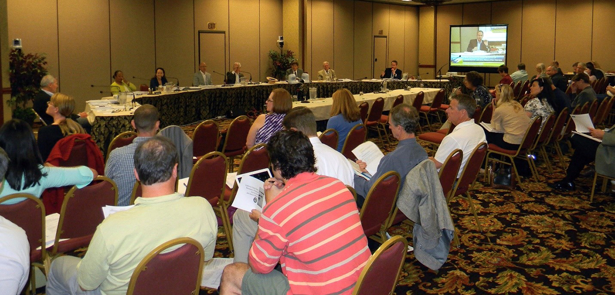 Audience perspective of an early Delta Stewardship Council meeting.