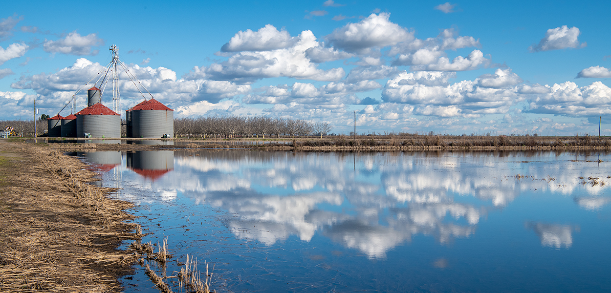 A flooded agricultural field reflecting clouds in Lodi, California.