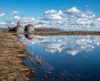 A flooded agricultural field reflecting clouds in Lodi, California.