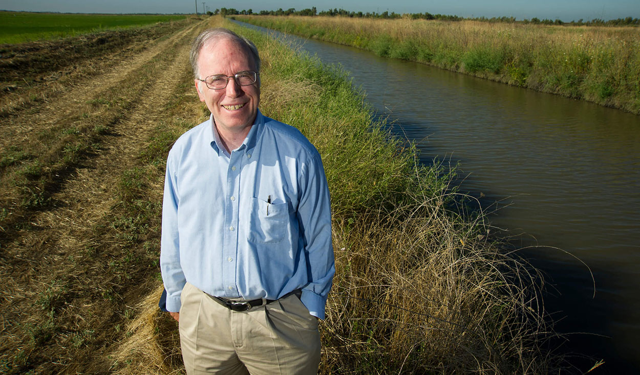 Delta Independent Science Board member Jay Lund stands near the Yolo Bypass wetlands.