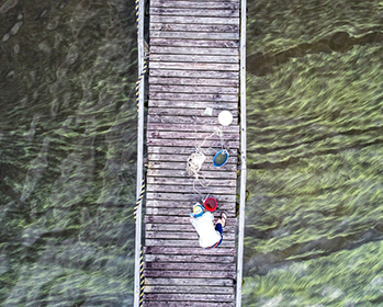 Dr. Ryan Paerl collects water samples during a harmful algal bloom. The Paerl research team will investigate the role of harmful algal blooms in Delta water and air quality to inform human exposure guidelines and mitigation policy. Photo: Hans Paerl.