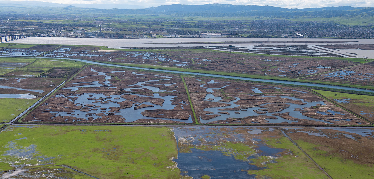 An aerial view looking south of wetlands on Sherman Island and San Joaquin River background, both part of the Sacramento-San Joaquin Delta in Sacramento County.