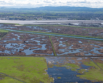 An aerial view looking south of wetlands on Sherman Island and San Joaquin River background, both part of the Sacramento-San Joaquin Delta in Sacramento County.