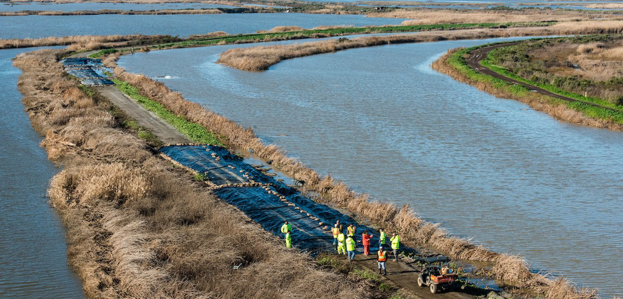 Levee workers in the Sacramento-San Joaquin Delta.