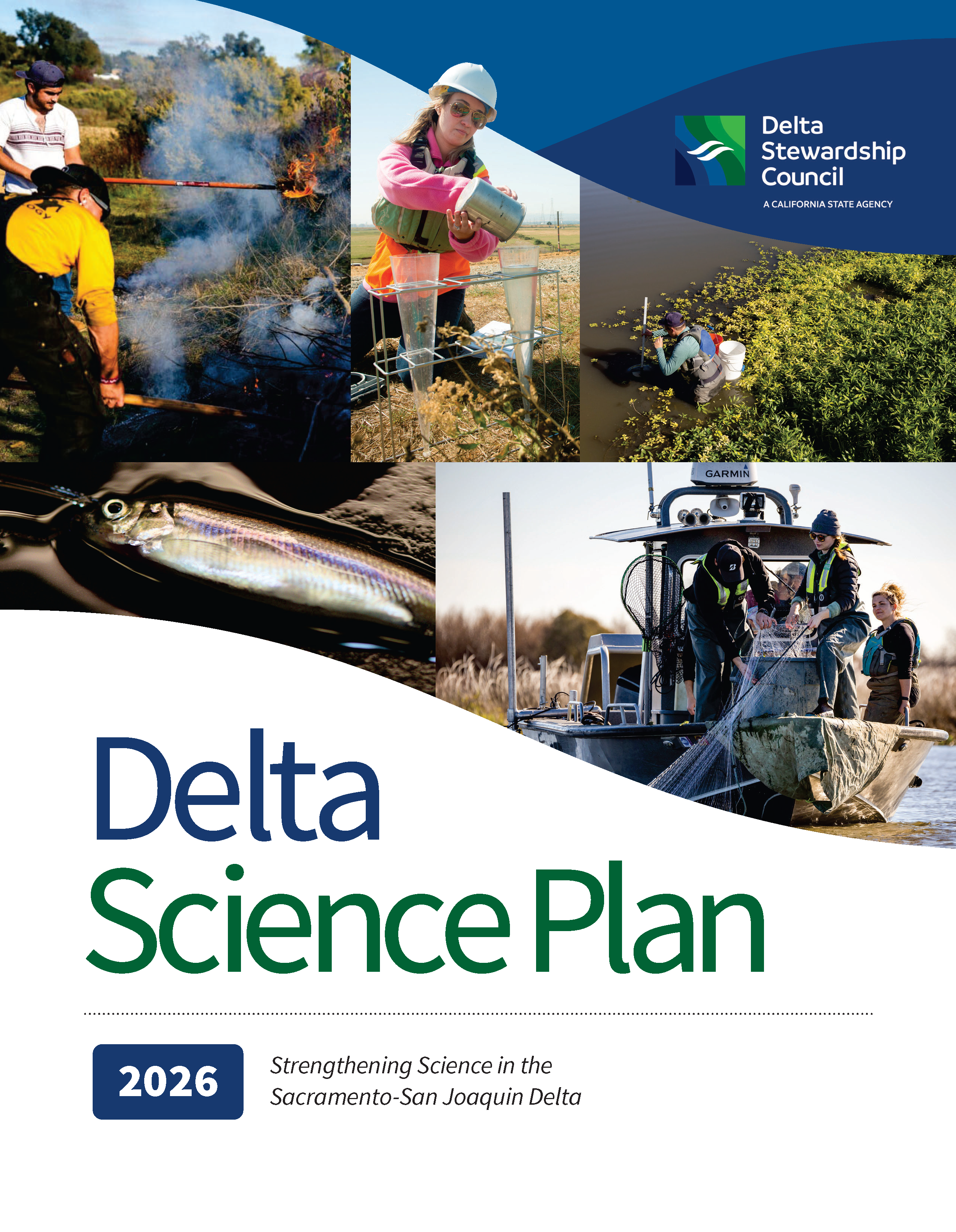 Collage of Delta smelt and members of the Delta science community participated in a cultural burn, measuring turbidity, and collecting water and fish samples.