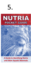 The front cover of the properly folded nutria pocket guide. Step five of the folding instructions is to turn the guide over after completing step four to see the “Nutria Pocket Guide” cover page at the front.