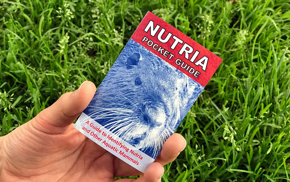 A person's hand holding the pocket guide to identifying Nutria.
