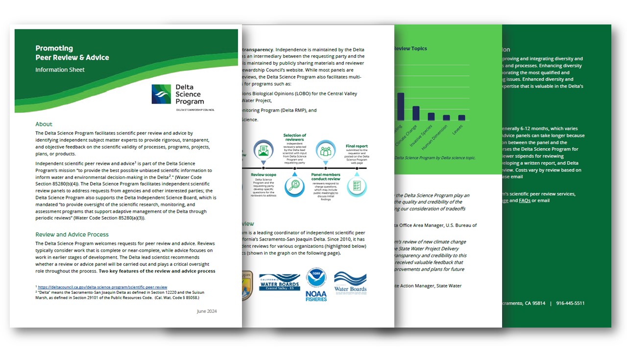 A screenshot of an information sheet describing the Delta Science Program’s peer review and advice services.