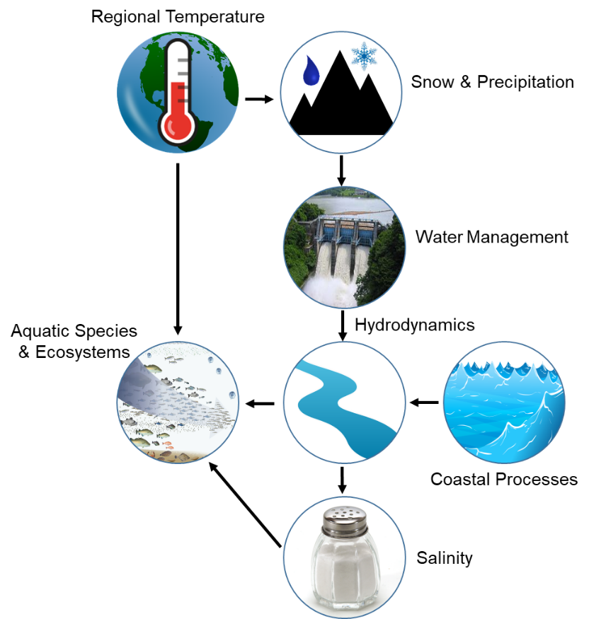 The diagram illustrates the synthesis required to evaluate key environmental drivers in aquatic systems and inform ecosystem-based management.
